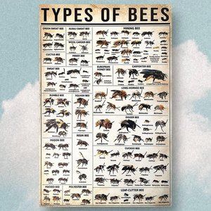 Types of Bees canvas poster, BRAND NEW